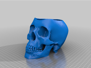 cranio pentola irrigazione inserire umano interno giardinaggio pianta 3d print model - Mito3D