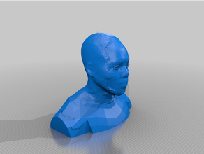 testa spalle fallimento scansione umano corpo manichino 3d print model - Mito3D