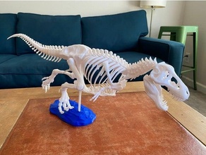 t-rex skeleton gastralia belly ribs anatomical fixes bone bones dinosaur fossil model paleo paleontology scale science tyrannosaurus rex 3d print model - Mito3D