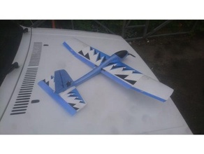 lidl Segelflugzeug rc Umwandlung 3d print model - Mito3D