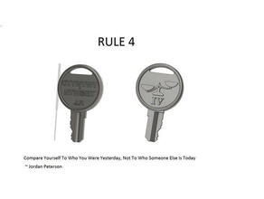12 regras vida regra 4 chave Wilson Bohannan cadeado 3d print model - Mito3D