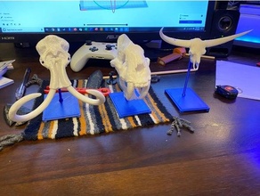 modified stand animal skulls mammoth skull bison latifrons etc fossil skeleton 3d print model - Mito3D