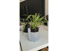 arrosage planteur plante pot 3d print model - Mito3D