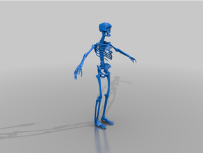 scheletro aos tomba re tm 3d print model - Mito3D