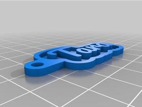llave cadena tara personalizado 3d print model - Mito3D