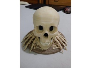 skull dice holder screw 3d print model - Mito3D