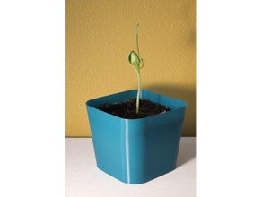 vaso modalità minimo pianta pentola fiore erba fioriera 3d print model - Mito3D