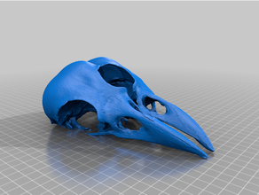 crâne jumeau animal corbeau lampe 3d print model - Mito3D