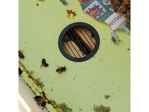 hive queen excluder 3d print model - Mito3D