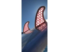 wakesurf pinne FCS Surf tavola surf fin wakeboard 3d print model - Mito3D