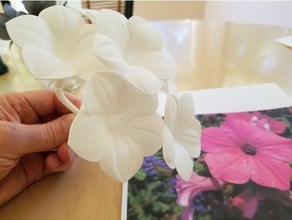 petunia fiore 3d stampa openscad 3d print model - Mito3D