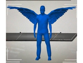 health care worker hero wings 3d print model - Mito3D