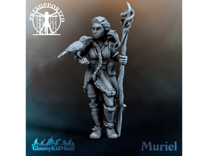 Muriel Druide Ebenen Tiere Zaubernden Charakter dnd Miniatur familiär weiblich Held Pfadfinder Tischplatte 3d print model - Mito3D