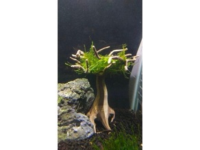 poly tree aquarium usage moss 3d print model - Mito3D