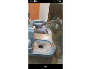 cat drink sink custom diy drinking fountain faucet pet water bowl 3d print model - Mito3D