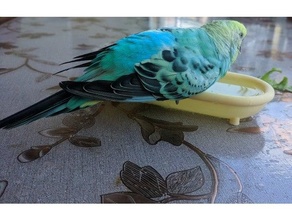 banho periquitos pássaros v1 banheira pássaro periquito papagaio animal chuveiro água 3d print model - Mito3D