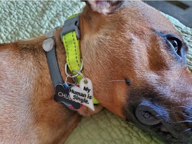 human single dog tags dogs tag 3D print model - Mito3D