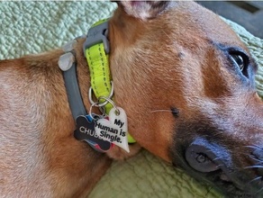humano soltero perro etiquetas perros etiqueta 3d print model - Mito3D