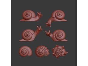 snails 3d print model - Mito3D