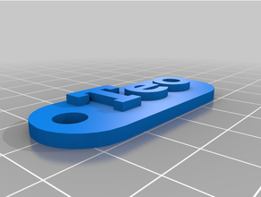 teo anahtarlık özelleştirilmiş 3d print model - Mito3D
