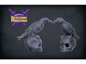 raven & skull dnd dnd5e miniatures pathfinder raven roleplaying skull 3d print model - Mito3D