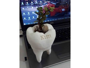 maceta muela tooth pot para personalizar dentist doctor flower garden gift office plant planter sell 3d print model - Mito3D