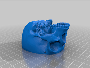 crâne pendaison pot drainage 3d print model - Mito3D