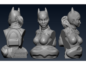 batgirl bust 3d print model - Mito3D