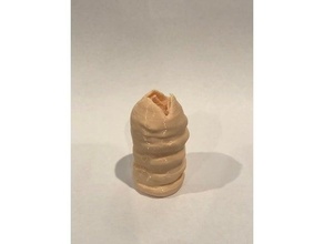 duna verme sabbia 3d print model - Mito3D