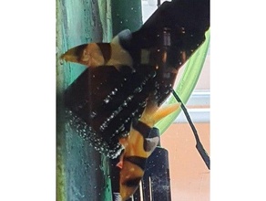 fluval aquário filtro ingestão 17mm 22mm 307 407 peixe tanque mangueira nervuras 3d print model - Mito3D