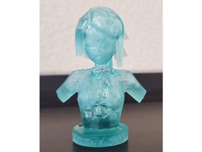 laura s arseid bust resin trials cold steel 3d print model - Mito3D