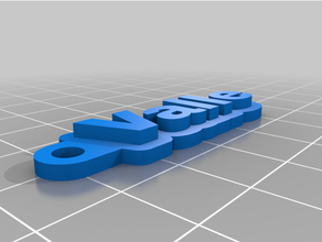 özelleştirilmiş valle anahtarlık 3d print model - Mito3D