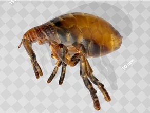 pulga escapado esparcidor pestilencia 3d print model - Mito3D