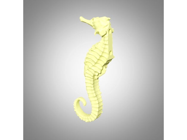 Hippocampus Magnet Aufhänger 3D print model - Mito3D