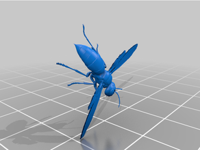 asian giant hornet vespa mandarinia 3d print model - Mito3D