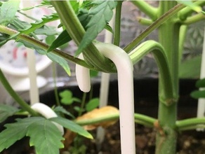 growbox cose cbd ganja serra crescere canapa base erbe aromatiche pianta fioriera impianti verdura ventilazione erba 3d print model - Mito3D