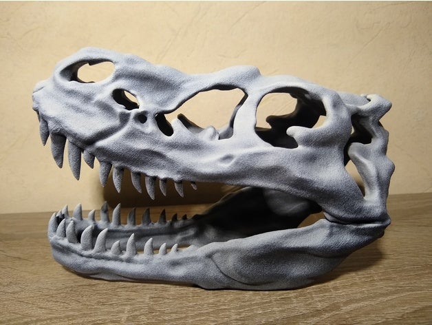 t-rex skull animal dinosaur head skull t-rex trex tyrannosaurus 3D print model - Mito3D
