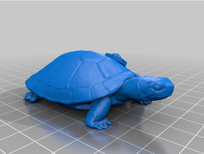 coco jumbo jean pierre polnareff jjba jojo jojos jojosbizzareadventure bizarre madewithtinkercad tinkercad turtle 3d print model - Mito3D