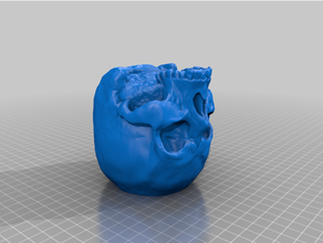 cráneo sodas cuerpo body3d beber Bebiendo cabeza soporte soda 3d print model - Mito3D