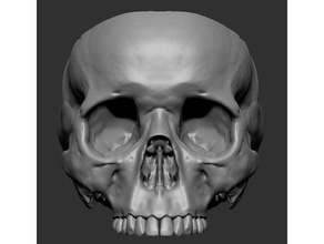 cranio pentola drenaggio buchi ossatura goth Gotico pianta fioriera impianti scheletro 3d print model - Mito3D