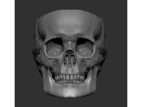 skull planter drainage holes jaw bones goth gothic plant plants pot skeleton 3d print model - Mito3D