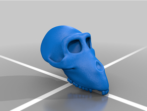 cr nio nero dryopithecus 3d print model - Mito3D