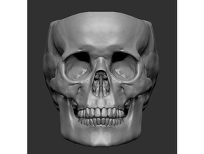 cranio pentola drenaggio sospeso buchi ossatura goth Gotico fioriera pianta scheletro 3d print model - Mito3D