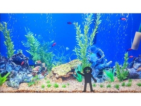 fish tank deep sea diver 3d print model - Mito3D