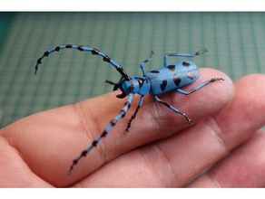 Rosalia Batesi Insekt 3d print model - Mito3D