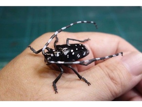 Anoplophora malezya böcek 3d print model - Mito3D