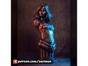 Kadın büst hayran Sanat çizgi roman dedektif Eastman dövüşçü kız Süper kahraman 3d print model - Mito3D