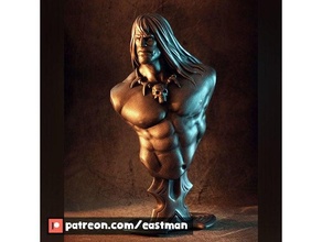 Conan barbar büst hayran Sanat Cimmian Eastman dövüşçü moobs şekil vermek savaşçı 3d print model - Mito3D