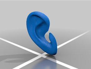 humano oído 3d print model - Mito3D