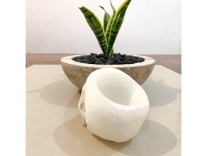 skull pot succulents flower human suculent 3d print model - Mito3D
